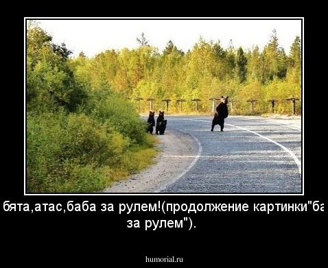 Ребята,атас,баба за рулем!(продолжение картинки"баба за рулем").