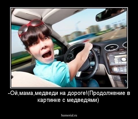 -Ой,мама,медведи на дороге!(Продолжение в картинке с медведями)
