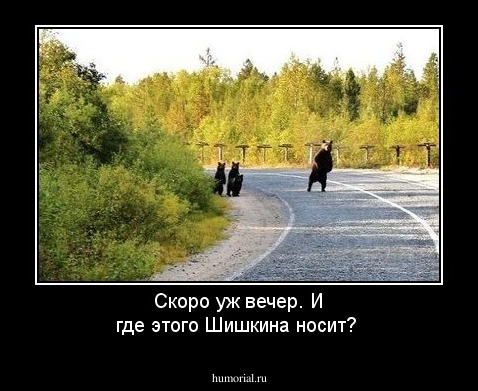 Скоро уж вечер. И где этого Шишкина носит?