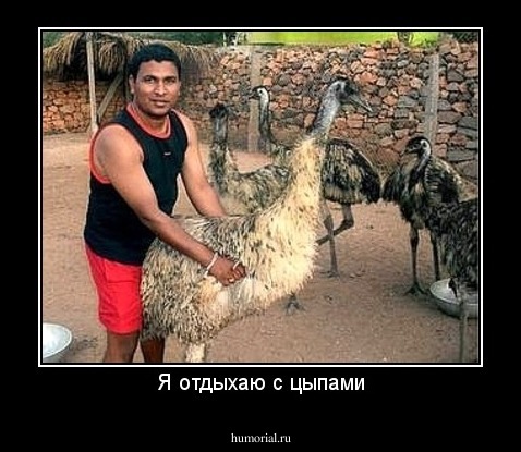 Я отдыхаю с цыпами