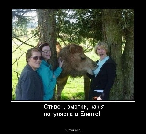 -Стивен, смотри, как я популярна в Египте!