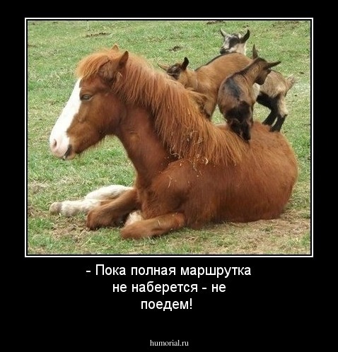 - Пока полная маршрутка не наберется - не поедем!