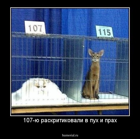 107-ю раскритиковали в пух и прах