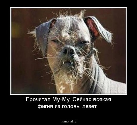 Прочитал Му-Му. Сейчас всякая фигня из головы лезет.