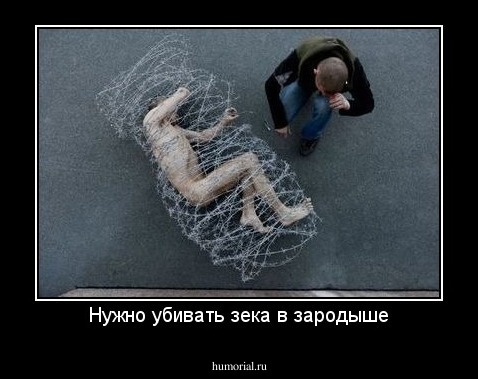Нужно убивать зека в зародыше