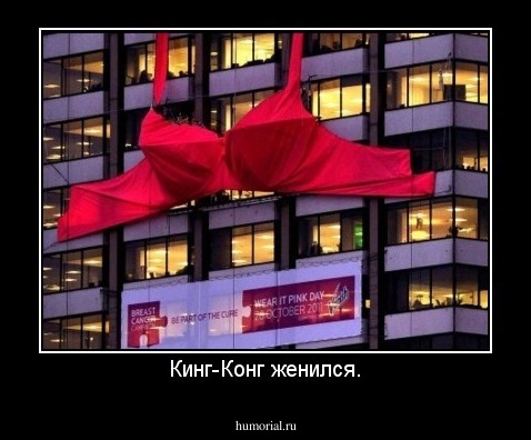 Кинг-Конг женился.