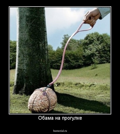 Обама на прогулке