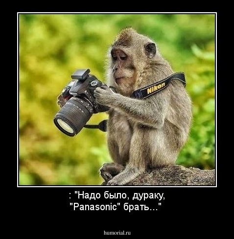 : "Надо было, дураку, "Panasonic"  брать..."