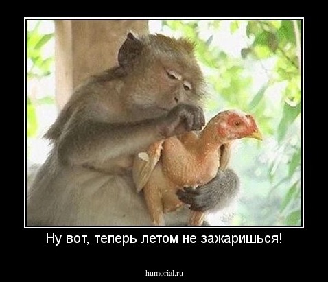 Ну вот, теперь летом не зажаришься!