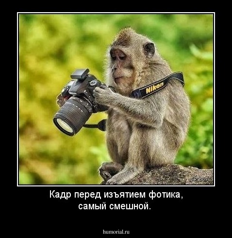 Кадр перед изъятием фотика, самый смешной.