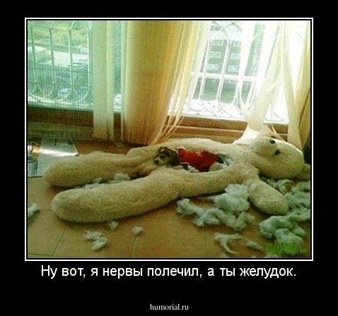 Ну вот, я нервы полечил, а ты желудок.