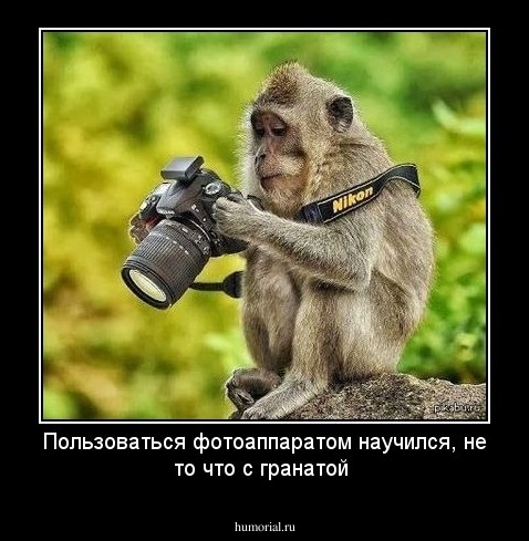 Пользоваться фотоаппаратом научился, не то что с гранатой 