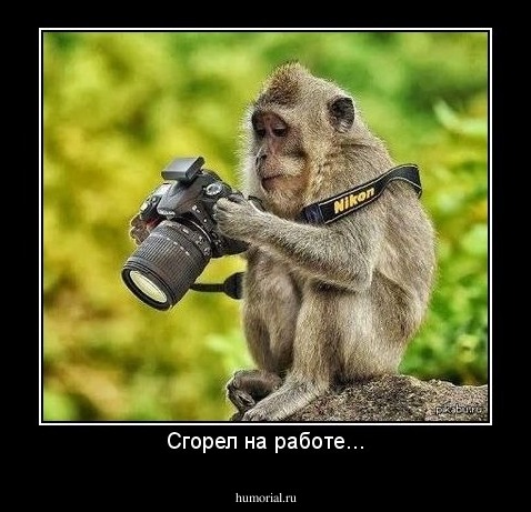 Сгорел на работе...
