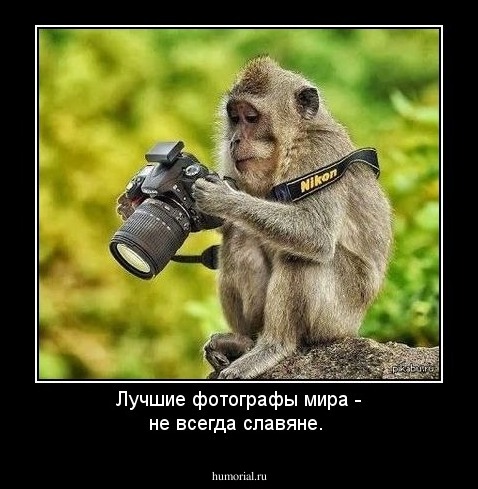 Лучшие фотографы мира - не всегда славяне.