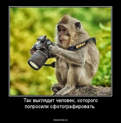 Так выглядит  человек, которого попросили сфотографировать 