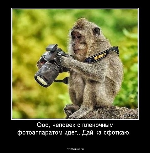 Ооо, человек с пленочным фотоаппаратом идет.. Дай-ка сфоткаю.