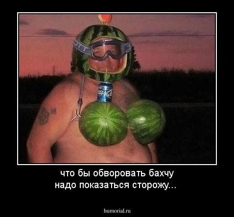 что бы обворовать бахчу надо показаться сторожу...