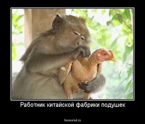 Работник китайской фабрики подушек