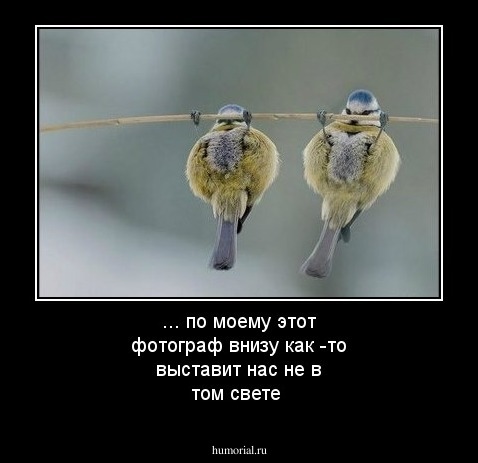 ... по моему этот фотограф внизу как -то  выставит нас не в том свете