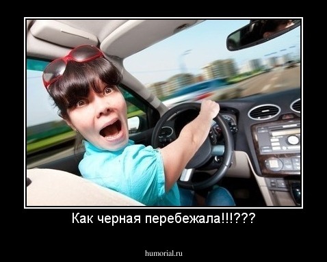 Как черная перебежала!!!???