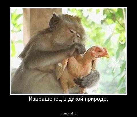 Извращенец в дикой природе.