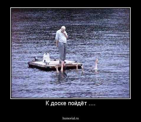 К доске пойдёт ....