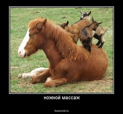  ножной массаж 