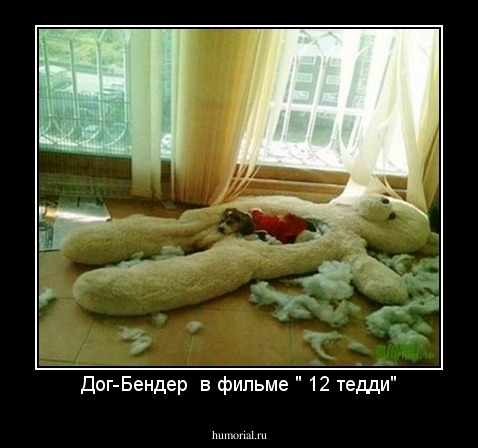 Дог-Бендер  в фильме " 12 тедди"