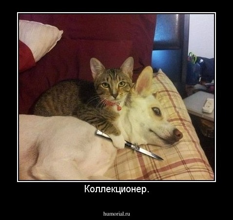 Коллекционер.