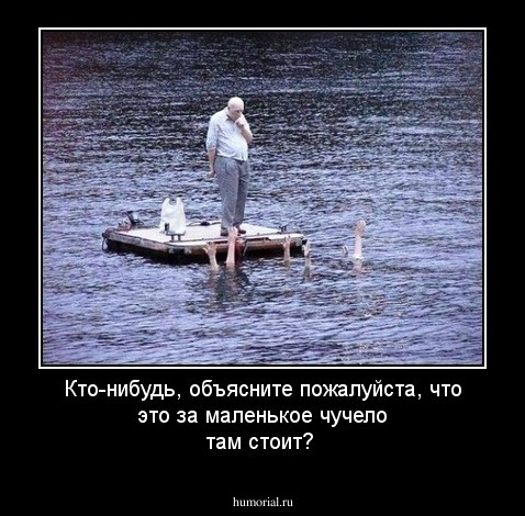 Кто-нибудь, объясните пожалуйста, что это за маленькое чучело там стоит?
