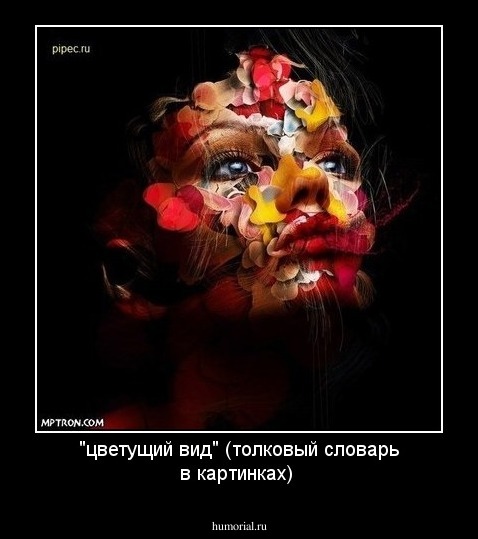 "цветущий вид" (толковый словарь в картинках)