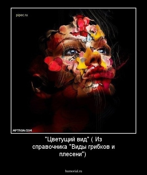 "Цветущий вид" ( Из справочника "Виды грибков и плесени")