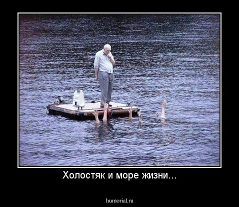 Холостяк и море жизни...
