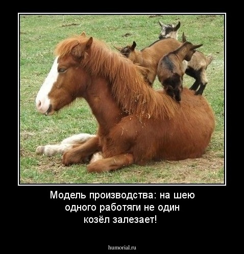 Модель производства: на шею одного работяги не один козёл залезает!