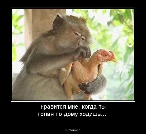 нравится мне, когда ты голая по дому ходишь...