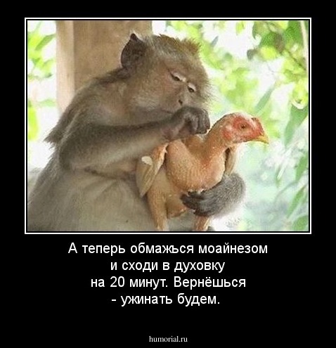 А теперь обмажься моайнезом и сходи в духовку на 20 минут. Вернёшься - ужинать будем.