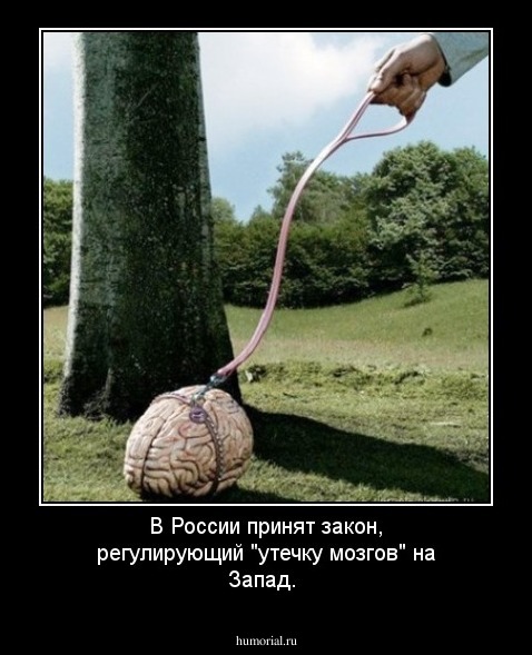 В России принят закон, регулирующий "утечку мозгов" на Запад.