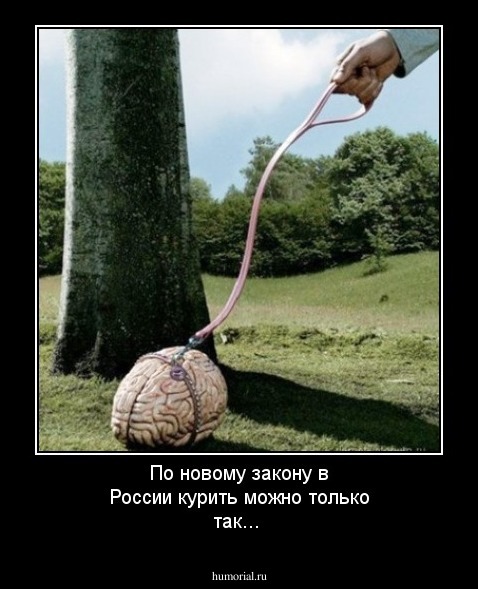 По новому закону в России курить можно только так...
