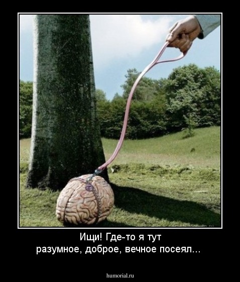 Ищи! Где-то я тут разумное, доброе, вечное посеял...