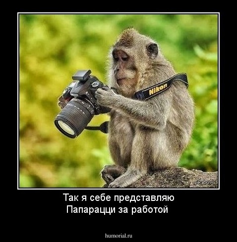 Так я себе представляю Папарацци за работой