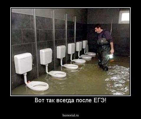 Вот так всегда после ЕГЭ!