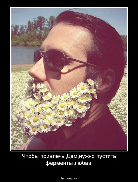 Чтобы привлечь Дам,нужно пустить ферменты любви