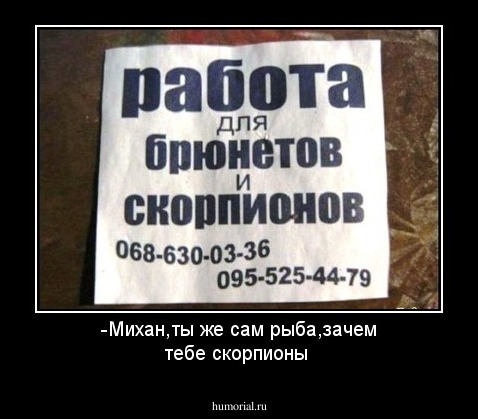 -Михан,ты же сам рыба,зачем тебе скорпионы