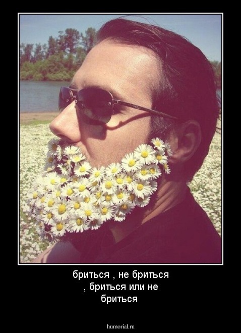 бриться , не бриться , бриться или не бриться