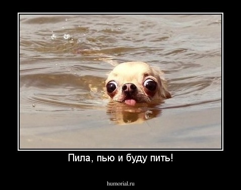 Пила, пью и буду пить!