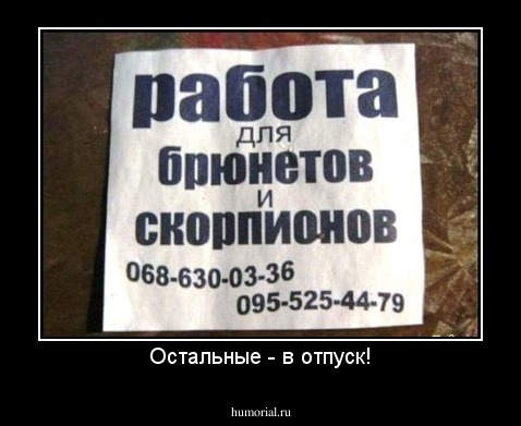 Остальные - в отпуск!