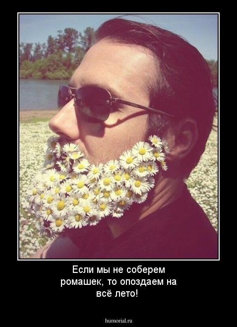 Если мы не соберем ромашек, то  опоздаем на всё лето!