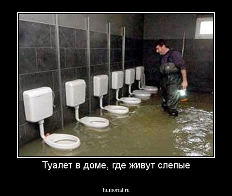 Туалет в доме, где живут слепые