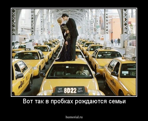 Вот так в пробках рождаются семьи