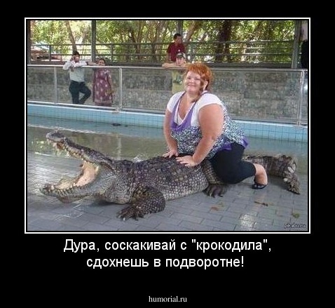 Дура, соскакивай с "крокодила", сдохнешь в подворотне!